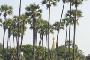 Birmanie_8_500x333