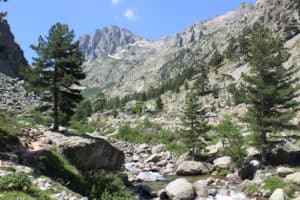 Corse_8_500x333