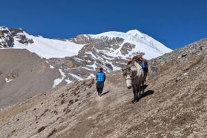 annapurnas_web_500X333_2