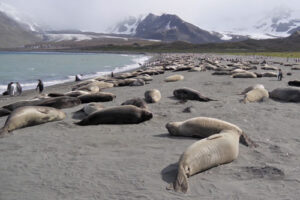 antarctique_500X333_2