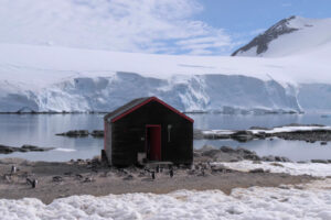 antarctique_500X333_20