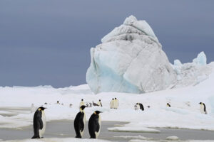 antarctique_500X333_27