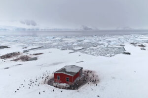 antarctique_500X333_6