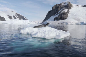 antarctique_500X333_8