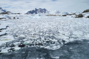 antarctique_500X333_9